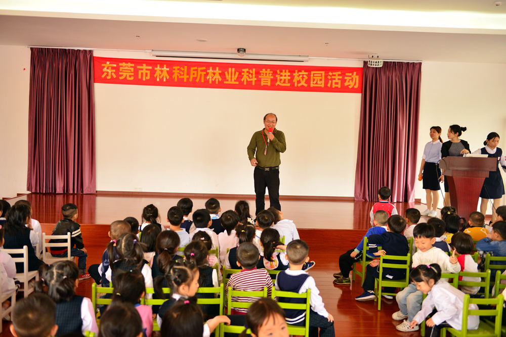我所到东莞市洪梅小飞象幼儿园举办林业科普进校园活动